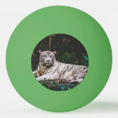 タイガー 卓球ボール (裏面)