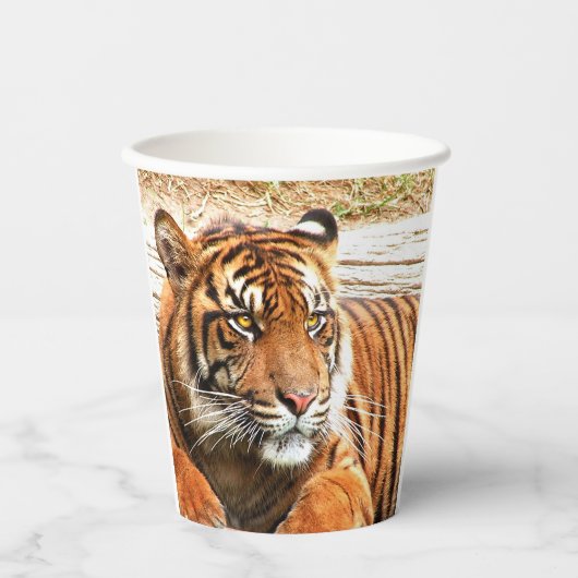 タイガー 紙コップ (正面)