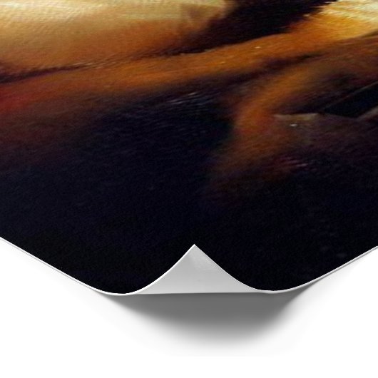 タイガー(8)野猫 ポスター (角)