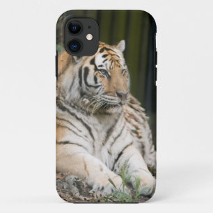 タイガー iPhone 11 ケース