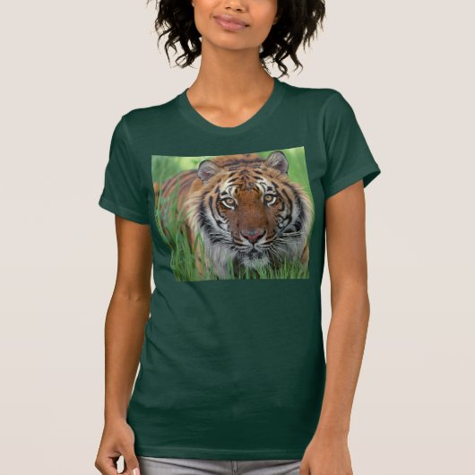タイガー Tシャツ (正面)