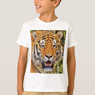 タイガー Tシャツ