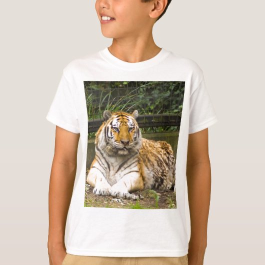 タイガー Tシャツ (正面)