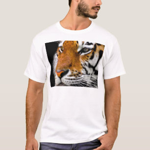 タイガー Tシャツ