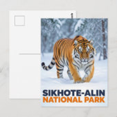 タイガーinシコテアリン国立公園ロシア ポストカード (正面/裏面)