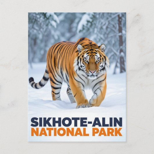 タイガーinシコテアリン国立公園ロシア ポストカード (正面)