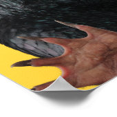 タイグラフィック付きテディ ポスター (角)