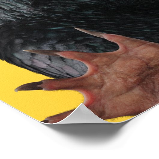 タイグラフィック付きテディ ポスター (角)