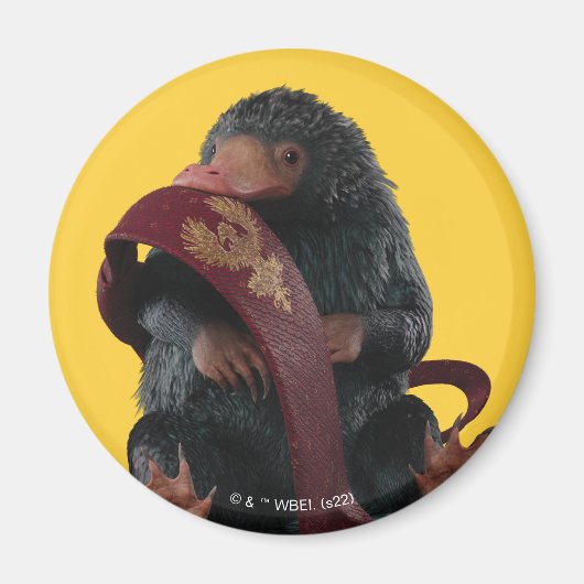 タイグラフィック付きテディ マグネット (正面)