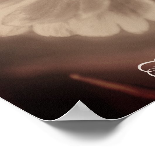 タイシンプルムズセピア《植物》百日草フラワーノスタルジア ポスター (角)