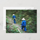 タイジャングルをトレッキング ポストカード (正面/裏面)