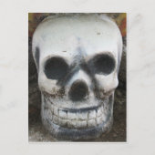 タイスカル ポストカード (正面)