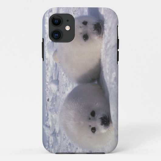 タイセイヨウアザラシ (Phoca groenlandica) 子グマ Case-Mate iPhoneケース (裏面)