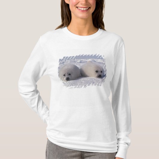 タイセイヨウアザラシ (Phoca groenlandica) 子グマ Tシャツ (正面)
