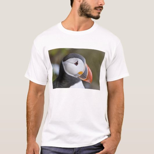 タイセイヨウオオハシウミドリ、海洋性の海鳥 Tシャツ (正面)