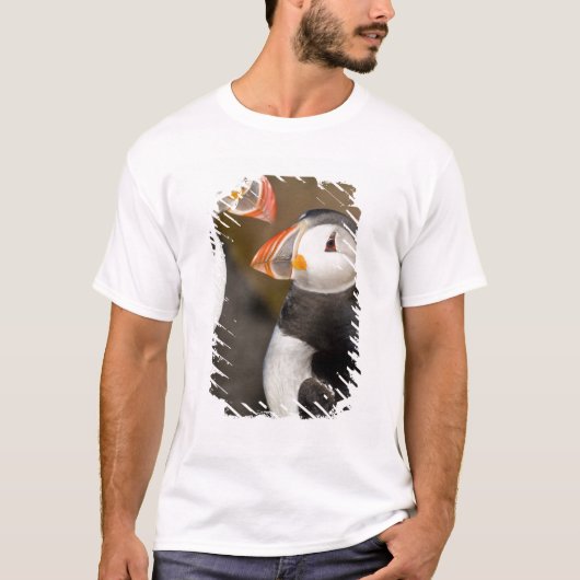 タイセイヨウニシツブクロウ Tシャツ (正面)