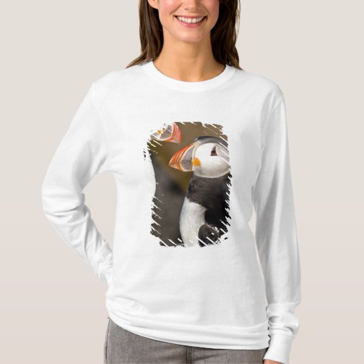 タイセイヨウニシツブクロウ Tシャツ (正面)