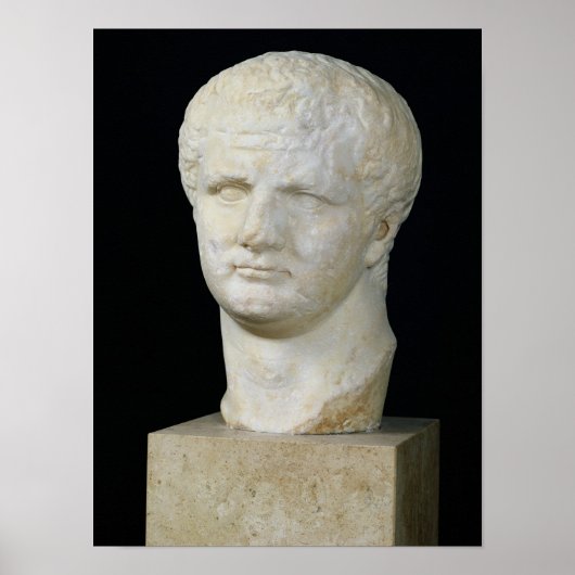 タイタスの頭 ポスター (正面)