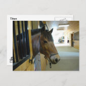 タイタンはがき ポストカード (正面/裏面)
