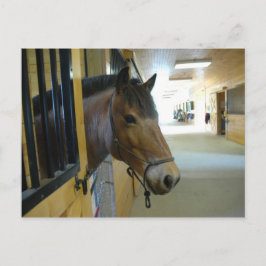 タイタンはがき ポストカード