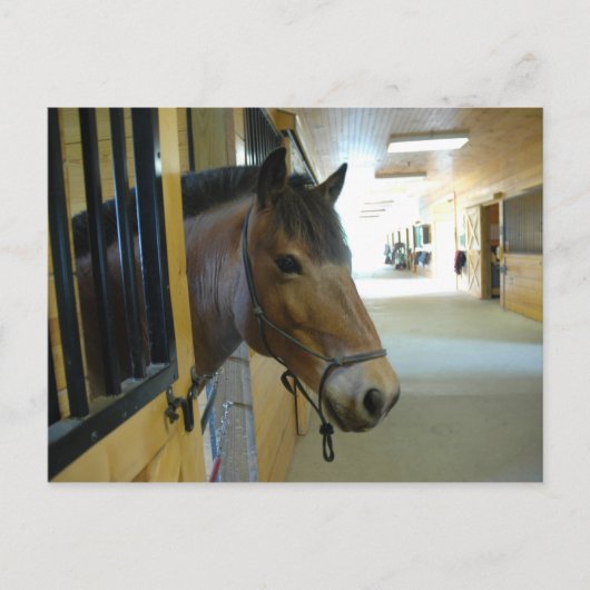 タイタンはがき ポストカード (正面)