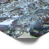 タイタン・トリガーフィッシュ ポスター (角)