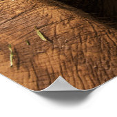 タイチェンマイで象を話す ポスター (角)