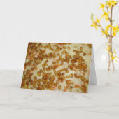 「タイチキンピザ」誕生日カード カード (黄色い花)