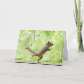 タイチーをやっているかわいいリス カード (正面)