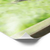 タイチーをやっているかわいいリス フォトプリント            (角)