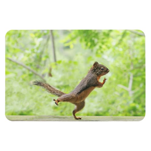 タイチーをやっているかわいいリス マグネット (横)
