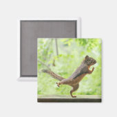 タイチーをやっているかわいいリス マグネット (正面/裏面)