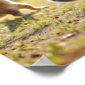 タイチーキャッツ ポスター (角)