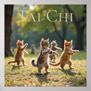 タイチーキャッツ ポスター