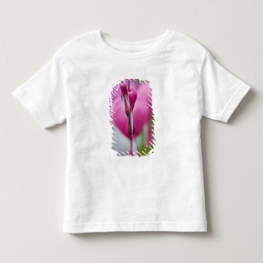 タイツリソウのドラマティックな色と形 トドラーTシャツ (正面)