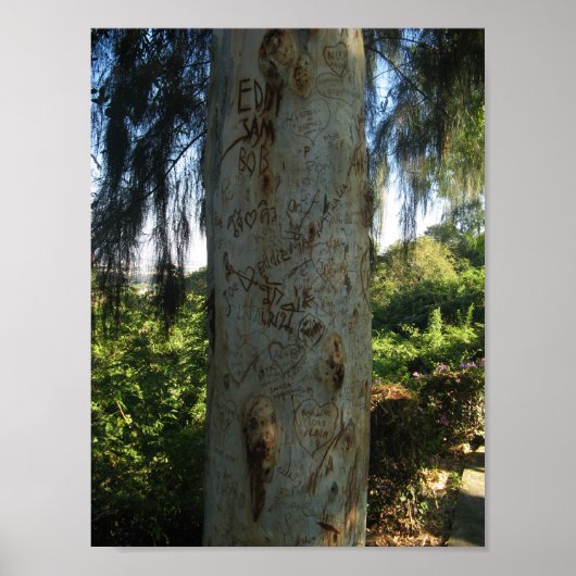 タイツリーグラフィティ ポスター (正面)