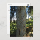 タイツリーグラフィティ ポストカード (正面/裏面)