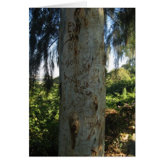 タイツリーグラフティカード (正面)