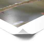 タイトマウス フォトプリント            (角)