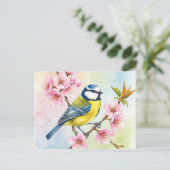 タイトマウス、桜、春はがき ポストカード (スタンド正面)