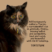 タイトメント写真の猫が大好き デニムジャケット