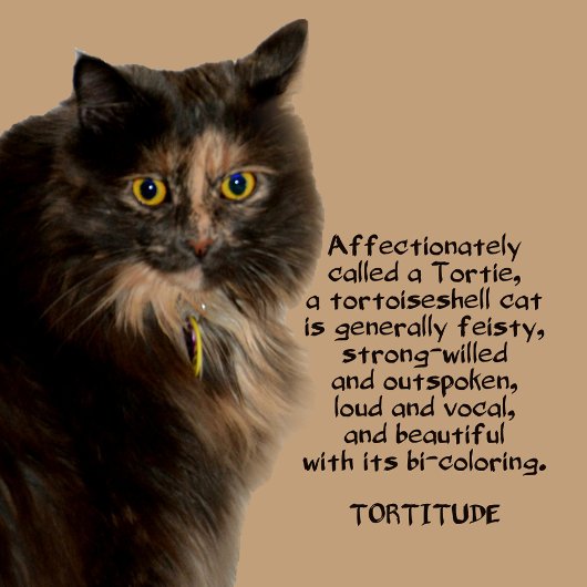 タイトメント写真の猫が大好き デニムジャケット