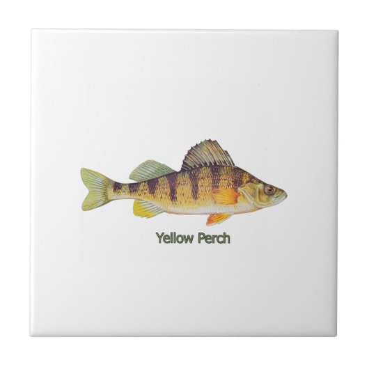 タイトルを付けられる黄色とまり木 タイル (正面)