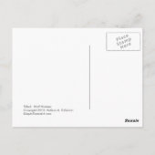 タイトル:ウルフウーマン – おもしろいモダンフォークア絵画ートズ ポストカード (裏面)