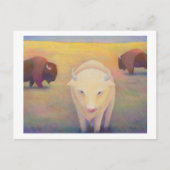 タイトル: 非凡 – 神聖な白いバッファロー ポストカード (正面)