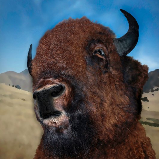 タイトル： " PHESANT LOOKING FOR PREY : ポスター