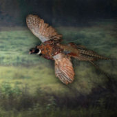 タイトル： " PHESANT LOOKING FOR PREY : ポスター