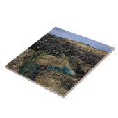 タイドプールズアットボブクリークOR タイル (側面)