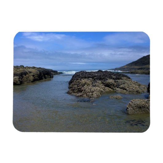 タイドプールズアットボブクリークOR マグネット (横)