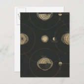 タイド ポストカード (正面/裏面)